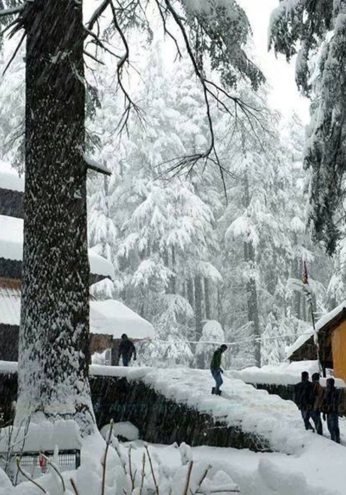 images/new-deal/Himachal Tour Package 8 Nights 9 Days 4.jpg